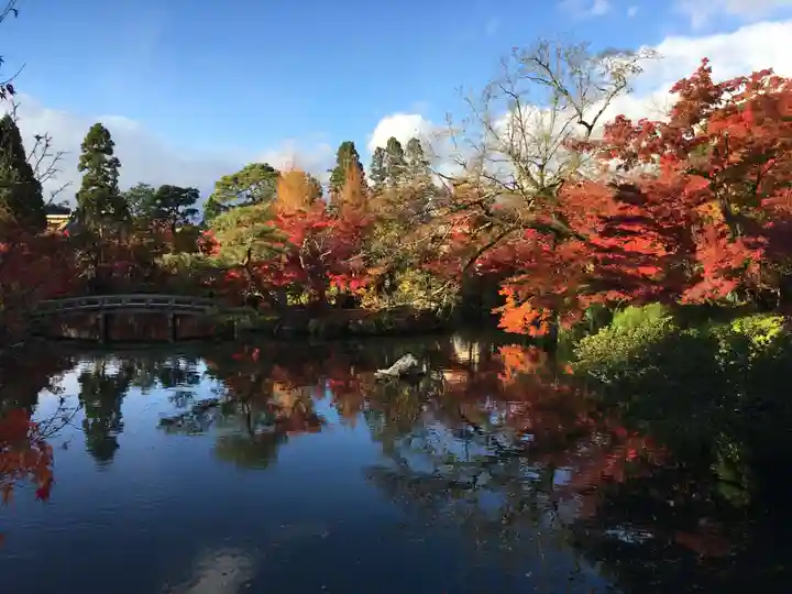 禅林寺(永観堂)の庭園