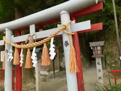 藤ヶ崎龍神社の鳥居