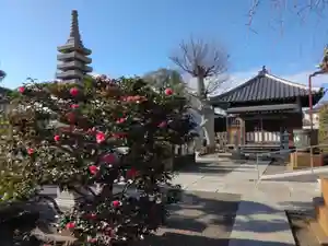 明王院のその他建物