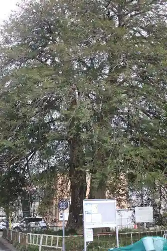 東昌寺(宮城県)