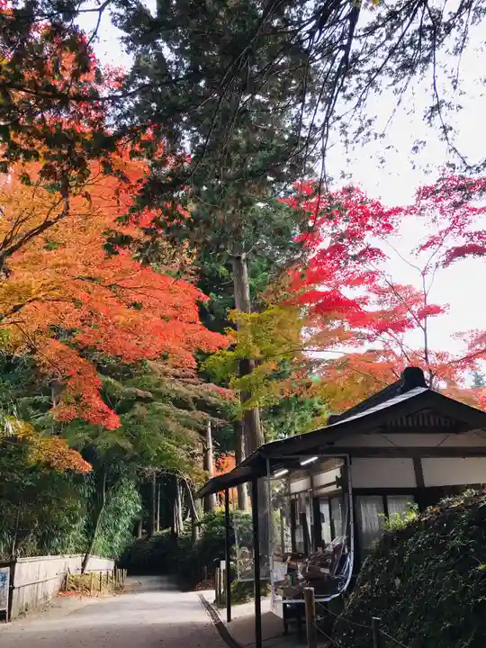 中尊寺本堂の自然