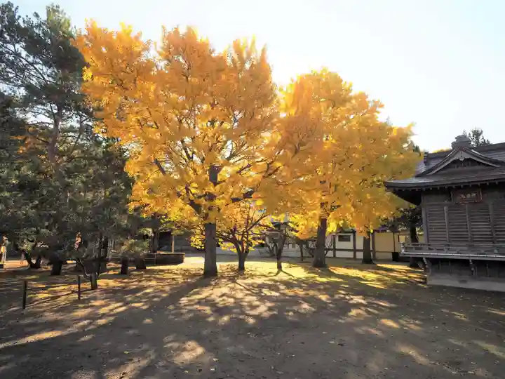 岩内神社のその他建物