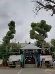 幡ケ谷氷川神社の鳥居