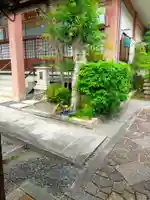 常念寺(京都府)