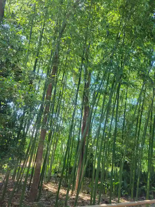 惠依彌二名神社(愛媛県)