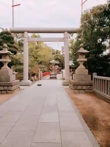 松戸神社の鳥居