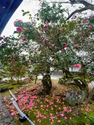 霊鑑寺門跡(京都府)