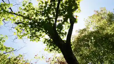 詩仙堂(丈山寺)(京都府)