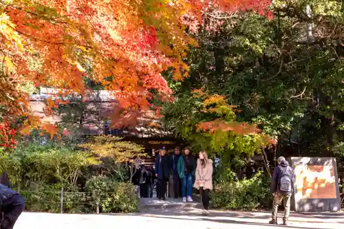 宇治上神社(京都府)