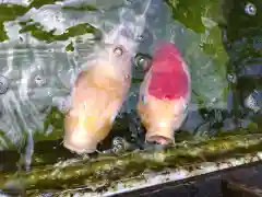 神館飯野高市本多神社(三重県)