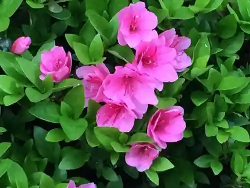 願正寺のその他建物