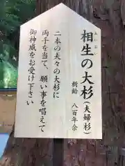 丹生川上神社（中社）(奈良県)