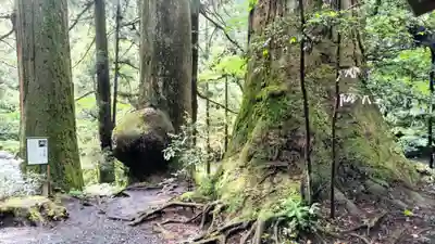 花園神社(茨城県)