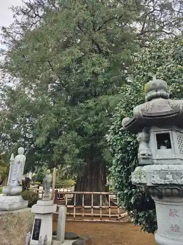 薬王山 吉祥院(千葉県)
