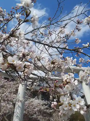 涌谷神社(宮城県)