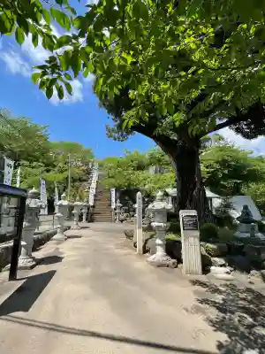 長谷寺(神奈川県)