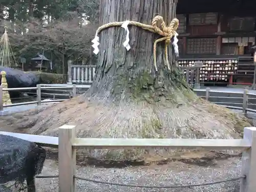 北口本宮冨士浅間神社の自然