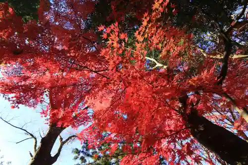 國祖神社の庭園