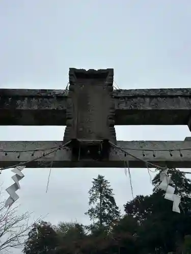 賀茂別雷神社(栃木県)