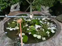 東京羽田 穴守稲荷神社(東京都)