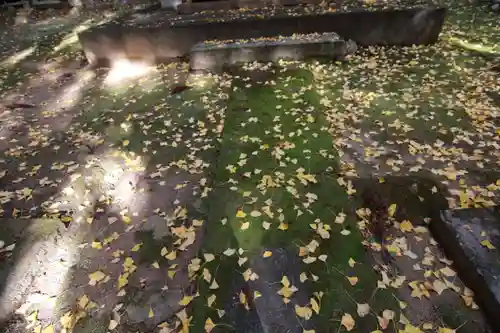 王子神社の景色