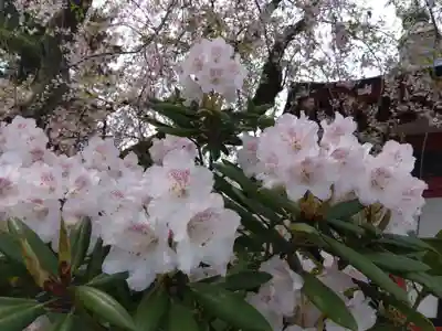 安養寺(福井県)