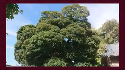 九重神社(埼玉県)