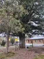 高性寺(栃木県)