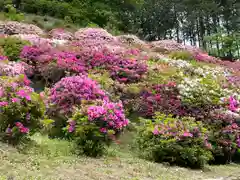 朝日寺(岡山県)