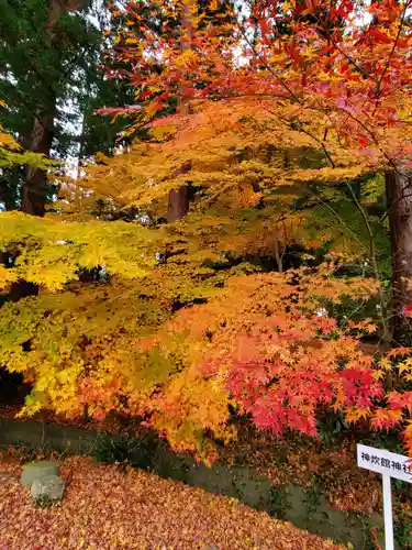 神炊館神社 ⁂奥州須賀川総鎮守⁂の自然