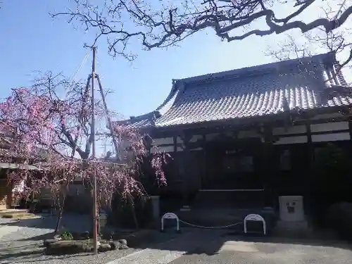 本興寺の本殿・本堂