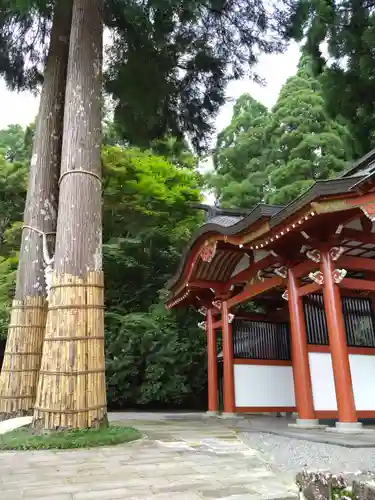 霧島東神社(宮崎県)