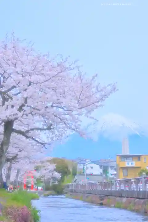 富士山本宮浅間大社の景色