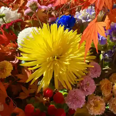 滑川神社 - 仕事と子どもの守り神の手水舎
