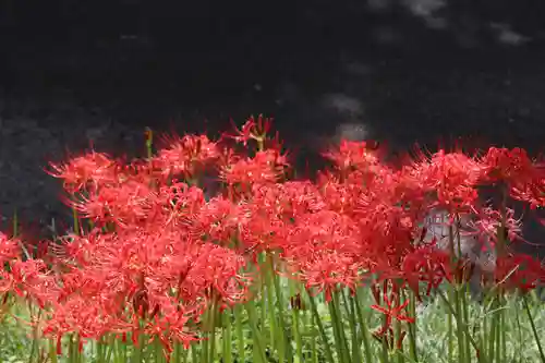 国宝 大法寺(長野県)