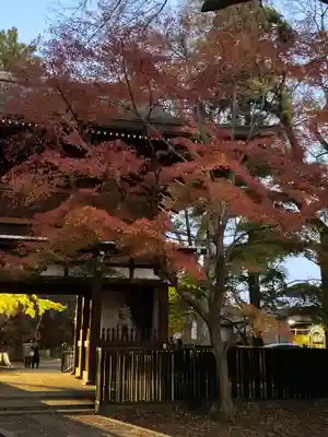 東漸寺(千葉県)