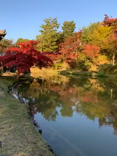 高台寺（高台寿聖禅寺・高臺寺）の景色