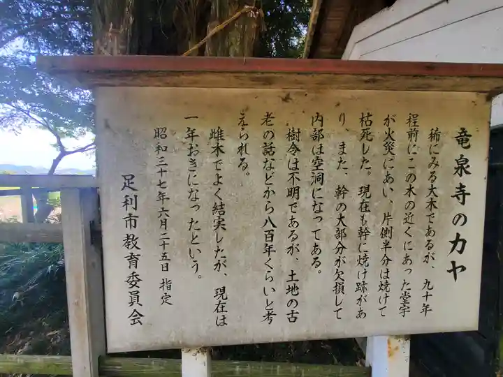 龍泉寺(稲岡観音堂)(栃木県)