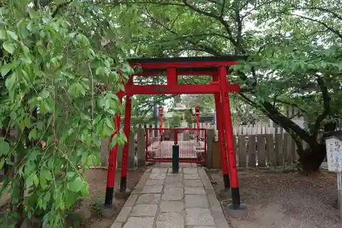 葛井寺(大阪府)