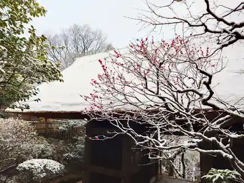 杉本寺(神奈川県)