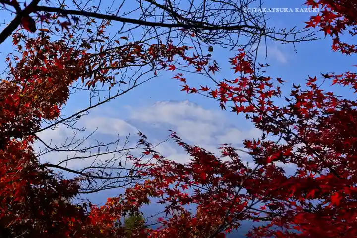 新倉富士浅間神社(山梨県)