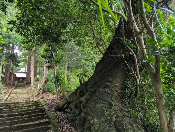 天満神社(福島県)