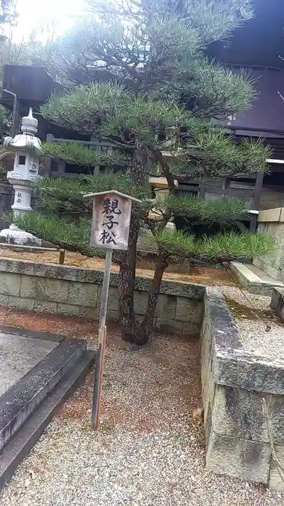 白國神社(兵庫県)