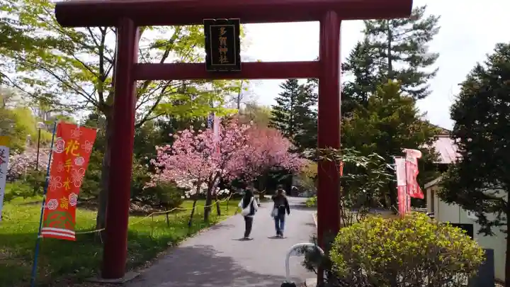 多賀神社の鳥居