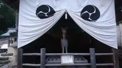 針綱神社の末社・摂社