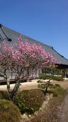 甲山寺の自然