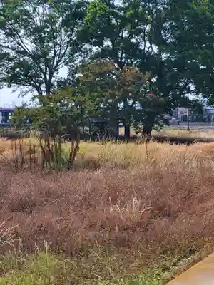 崇聖寺(栃木県)