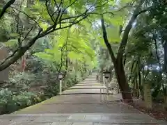 白山比咩神社(石川県)