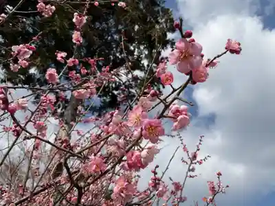 天神社（下小針）(愛知県)