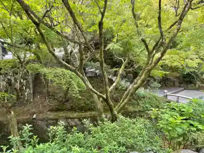 東福禅寺(東福寺)(京都府)